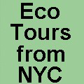 NYC's premier eco tour company offers all inclusive day tours visiting natural wonders. This link does not constitute an endorsement, and businesses are not affiliated. But enjoy!